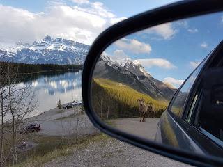 EN BICI POR EL LAKE MINEWANKA