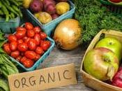 ¿por triunfa ingeniería social?