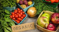 ¿POR QUÉ TRIUNFA LA INGENIERÍA SOCIAL?