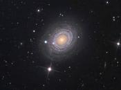 ✨NGC desde Mano Prieto Observatory