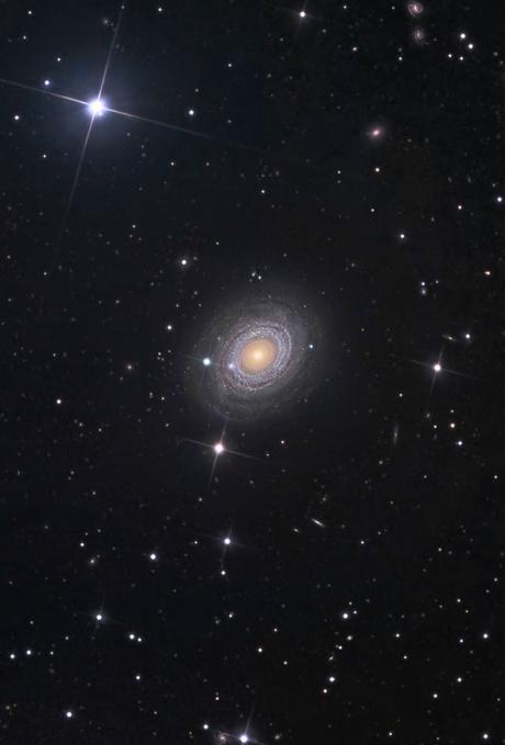 ✨NGC 488 desde Mano Prieto Observatory ✨NGC 488 desde Mano Prieto Observatory