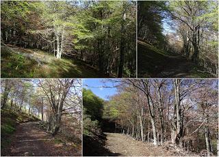 Yananzanes-Puerto Piedrafita-Cueto Pando-La L.laguna-Mayéu Braña