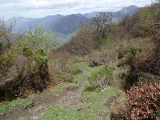 Yananzanes-Puerto Piedrafita-Cueto Pando-La L.laguna-Mayéu Braña