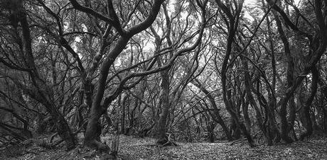 “La fotografía tal y como la hemos conocido se ha acabado, es historia ya”, Ramón Zabalza, fotógrafo documentalista Ramon Zabalza Donde 009