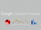 Google Survey, ¿qué para sirve?