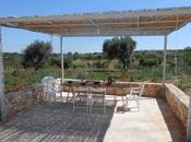 Patios Estilo Rustico