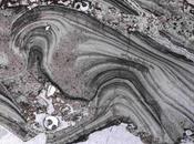 Vida Microbiana unas Rocas Australia Hace 3.480 Millones Años