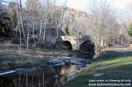 Soria y Tierras Altas: San Pedro Manrique, Ruta de las Icnitas, Acebal de la Garagüeta Soria y Tierras Altas: San Pedro Manrique, Ruta de las Icnitas, Acebal de la Garagüeta