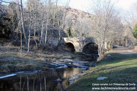 Soria y Tierras Altas: San Pedro Manrique, Ruta de las Icnitas, Acebal de la Garagüeta