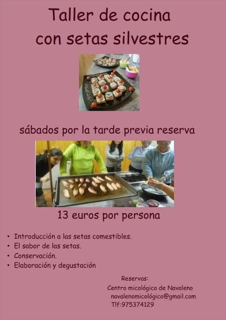 Aprende a cocinar setas en Soria – Centro Micológico de Navaleno