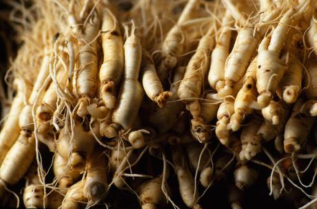 Los beneficios del ginseng