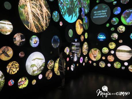 El Museo del Mañana (Museu do Amanhã) en Río de Janeiro