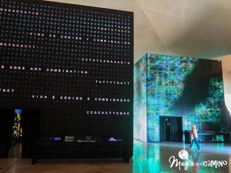 El Museo del Mañana (Museu do Amanhã) en Río de Janeiro