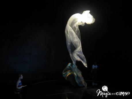 El Museo del Mañana (Museu do Amanhã) en Río de Janeiro