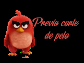 Previo corte pelo Noche Juan