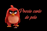 Previo corte de pelo + Noche de San Juan