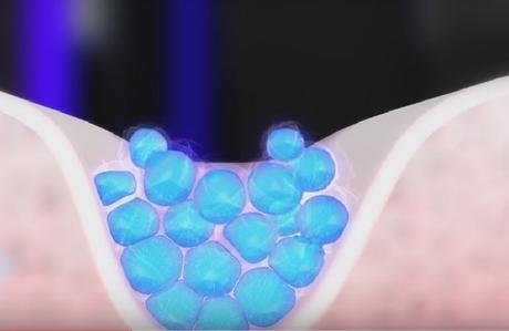 Dieta anti-envejecimiento Dieta anti-envejecimiento