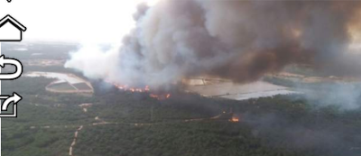 Incendio forestal en el paraíso