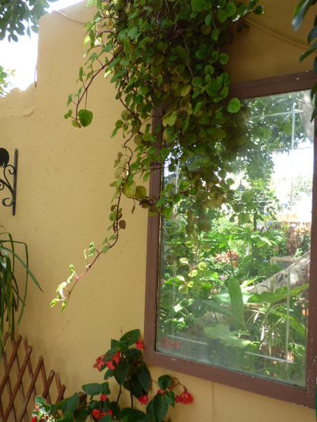 Cosas variadas para el jardín