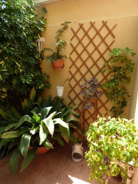 Cosas variadas para el jardín