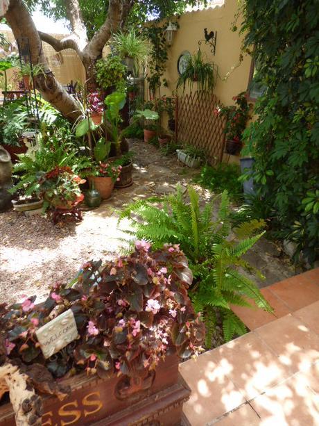 Cosas variadas para el jardín