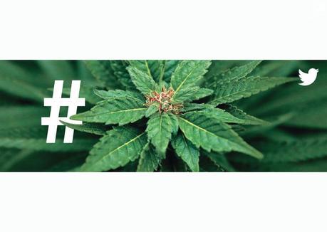 Todos los Grand Prix de #CannesLions 2017 cannabis