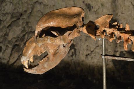 Cueva, Estatuas y Monasterio en Valaquia – Cave, Statues and Monastery in Wallachia