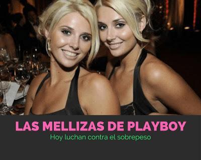 mellizas de playboy