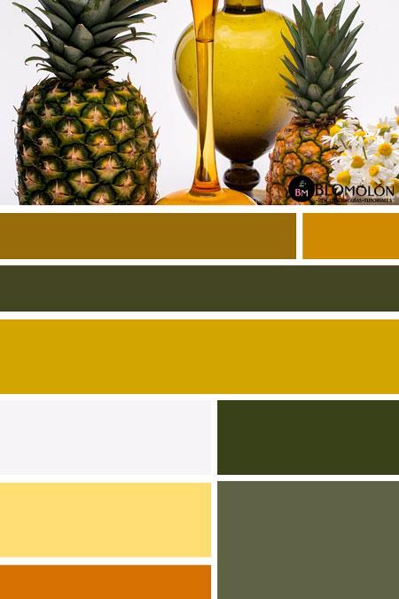 paletas_de_colores_mes_de_junio 3