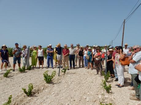 ATENEO DEL VINO: Visita a las Bodegas Forlong de El Puerto: Sábado 24 de junio de 2017