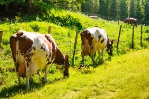 La agricultura necesita tecnología para alimentar al mundo