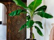 paraíso para descansar Mallorca