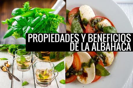 propiedades y beneficios de la albahaca