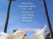 Exposición Fotografías final curso Cursos Talleres Fotografía impartidos Centro Cultural Biblioteca Montequinto.