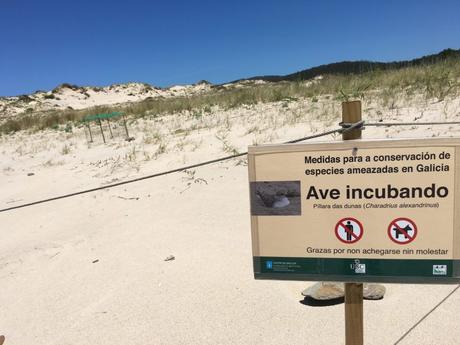 Vacaciones con niños en Ferrol