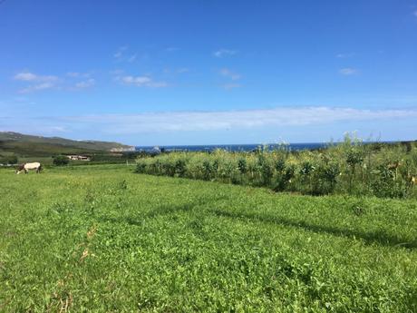 Vacaciones con niños en Ferrol