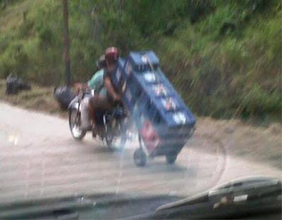 ENTRE HORMIGAS, CIGARRAS Y CUCARACHAS EN VENEZUELA