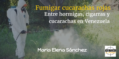 ENTRE HORMIGAS, CIGARRAS Y CUCARACHAS EN VENEZUELA