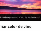 color vino