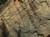 Batuecas Peña Francia Sierra Gata