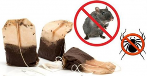 Haciendo esto con las bolsas de Té, no volverás a ver ratones ni arañas en tu casa.