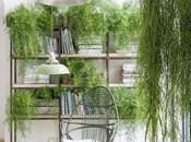 Jungla urbana mitad salon