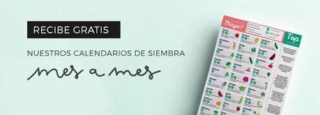 El huerto en Julio | Calendario de siembra