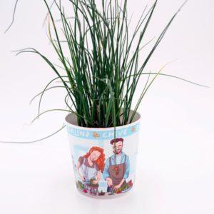 Cebollino gourmet ecológico