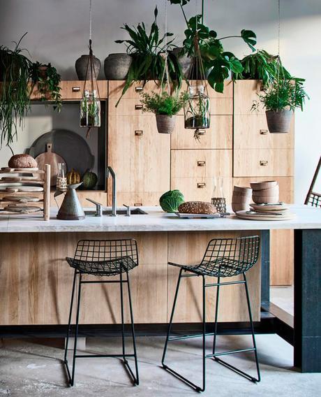 Cocina con plantas en macetas de cemento de HKLiving Cocina con plantas en macetas de cemento de HKLiving
