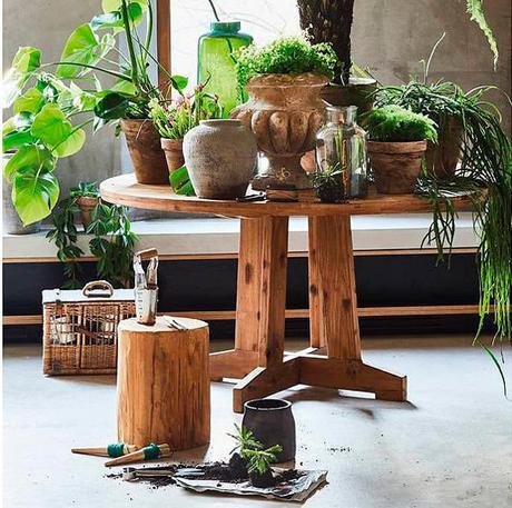 Mesa de madera con plantas en macetas de cemento, de HKliving Mesa de madera con plantas en macetas de cemento, de HKliving