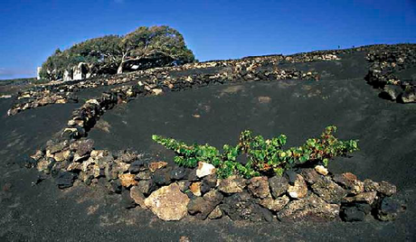 “LANZAROTE” RECUERDOS QUE NUNCA SE OLVIDAN