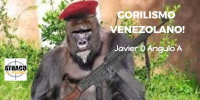 EL GORILISMO VENEZOLANO!