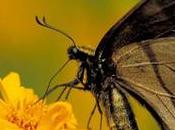 Nuestra hora llegado