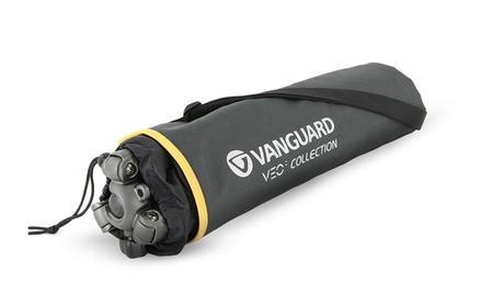 Vanguard Veo 2
